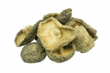 Kuru mantarlar beyaz arkaplanda izole edildi