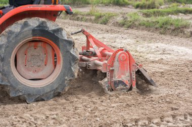 Taylandlı çiftçiler toprağı pirinç yetiştirmek için traktör kullanıyorlar..