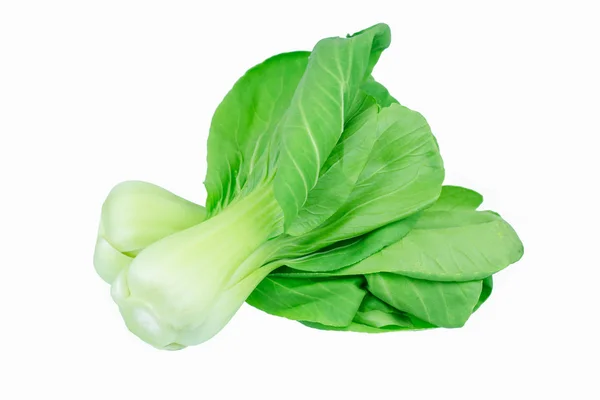 Bok Choy Kínai Kel Elszigetelt Fehér — Stock Fotó