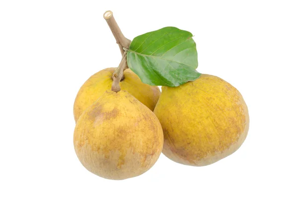 Frutto Santol Meliaceae Isolato Fondo Bianco — Foto Stock