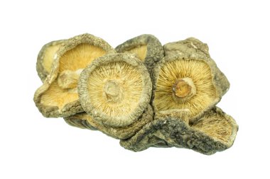 Kuru mantarlar beyaz arkaplanda izole edildi