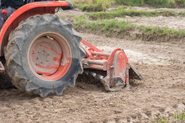 Taylandlı çiftçiler toprağı pirinç yetiştirmek için traktör kullanıyorlar..
