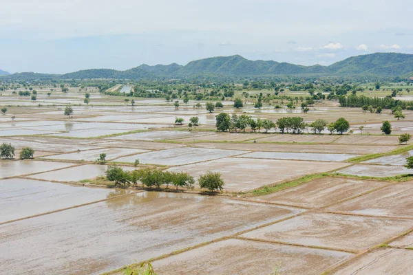 Water in the rice field for preparing rice in Thailand