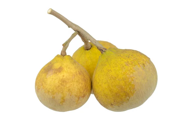 Frutto Santol Meliaceae Isolato Fondo Bianco — Foto Stock