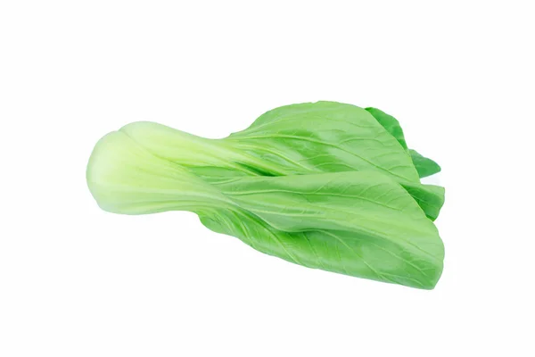 Bok Choy Chinese Kool Geïsoleerd Wit — Stockfoto