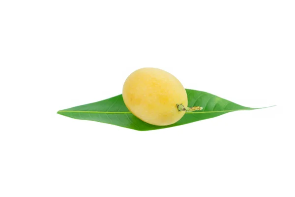 Słodka Śliwka Mariańska Tajski Owoc Izolowany Białym Tle Mayongchid Maprang — Zdjęcie stockowe