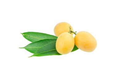 tatlı Marian eriği thai meyvesi beyaz zemin üzerinde izole (Mayongchid Maprang Marian Plum ve Plum Mango, Tayland)