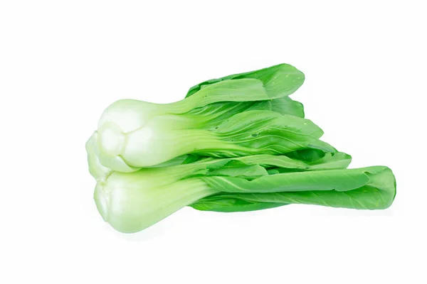 Bok Choy Chinese Kool Geïsoleerd Wit — Stockfoto