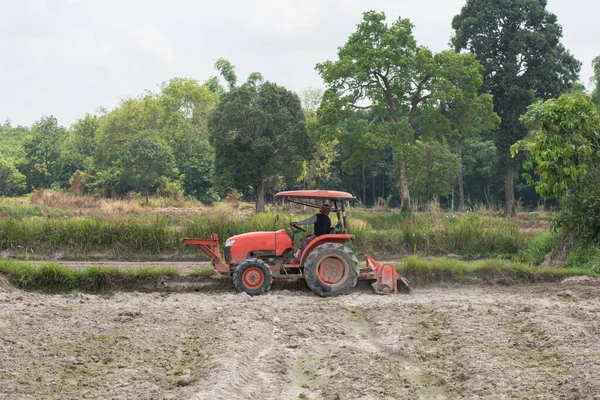 タイの農家は 米を育てるための土壌を準備するためにトラクターを使用しています — ストック写真