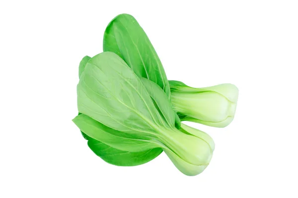 Bok Choy Chinese Kool Geïsoleerd Wit — Stockfoto