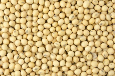 Sırt grubuna göre soya fasulyesi deseni