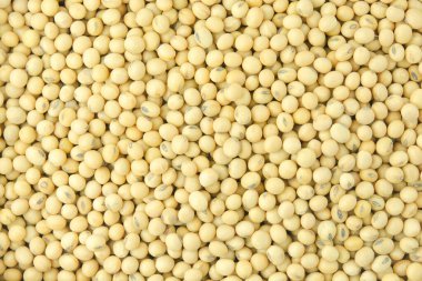 Sırt grubuna göre soya fasulyesi deseni