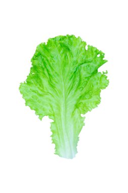 Salata yaprağı. Kırpma yolu ile beyaz arka plan üzerinde izole marul