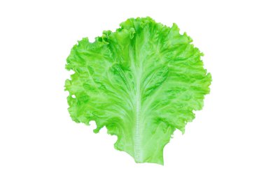 Salata yaprağı. Kırpma yolu ile beyaz arka plan üzerinde izole marul