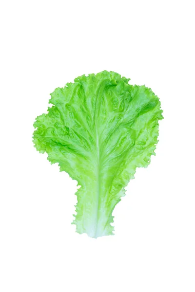 Salad Leaf Lettuce Isolated White Background Clipping Path — Stock Photo, Image