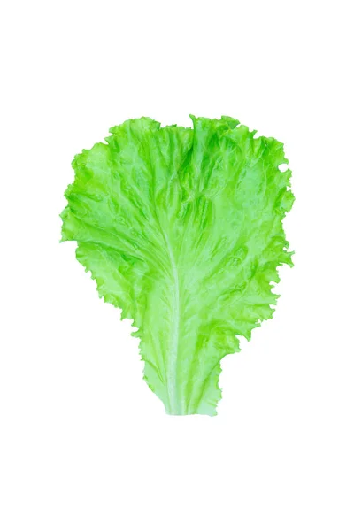 Salad Leaf Lettuce Isolated White Background Clipping Path — Stock Photo, Image