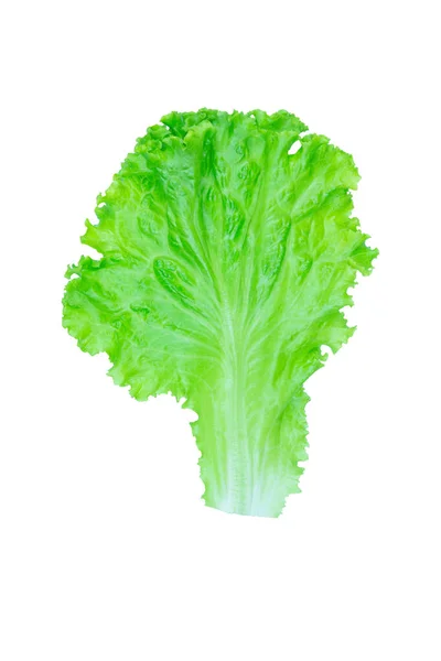 Salade Blad Sla Geïsoleerd Witte Achtergrond Met Uitknippad — Stockfoto