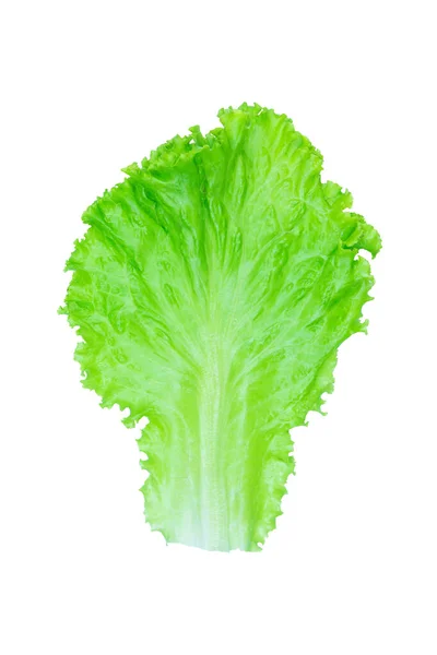 Salatblatt Vorhanden Salat Isoliert Auf Weißem Hintergrund Mit Schneideweg — Stockfoto