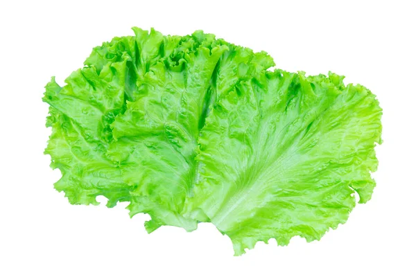 Salad Leaf Lettuce Isolated White Background Clipping Path — Stock Photo, Image