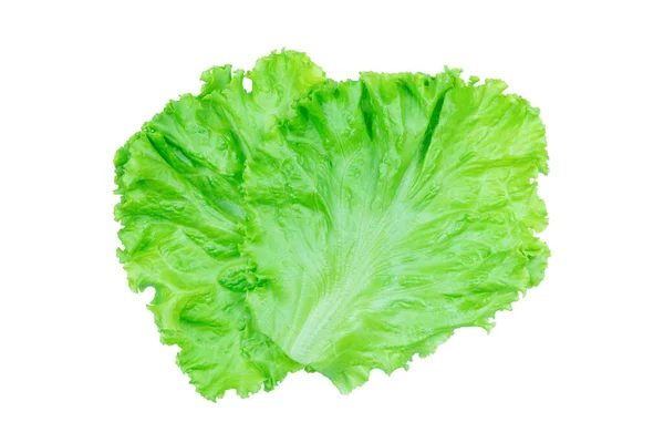 Salad Leaf Lettuce Isolated White Background Clipping Path — Stock Photo, Image