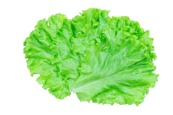 沙拉叶 在白色背景上隔离带剪切路径的 Lettuce — 图库照片