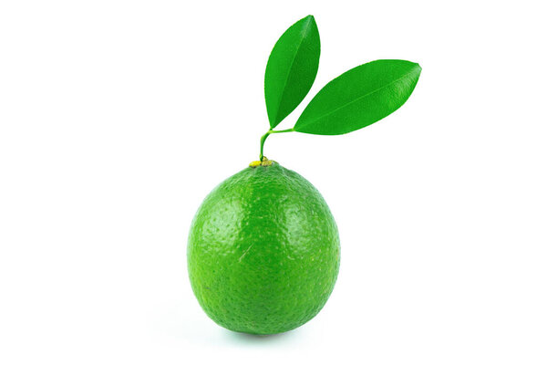 Свежий лайм и листья изолированы на белом фоне с обрезкой пути
