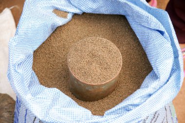 Taze pazarda satılan küçük tohum