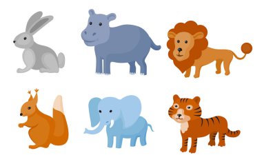 Zoo vahşi hayvanlar renkli seti