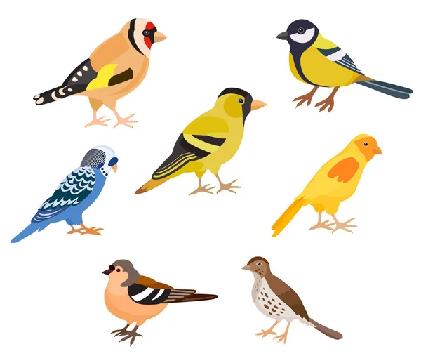 Renkli kuşlar set — Stok Vektör