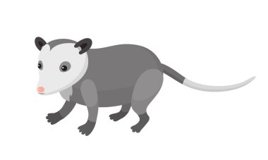 Cute cartoon opossum 