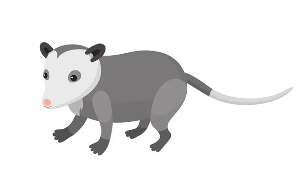 Niedliches Cartoon-Opossum — Stockvektor