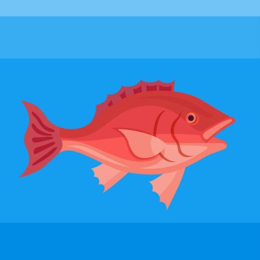 Sea fish snapper clipart