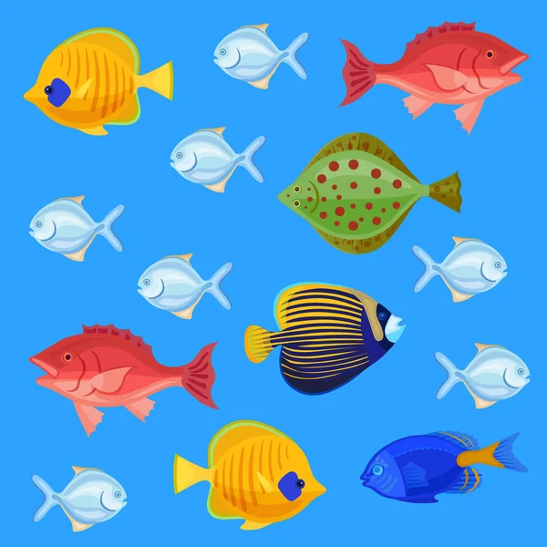 Zestaw ryb mórz i oceanów — Wektor stockowy