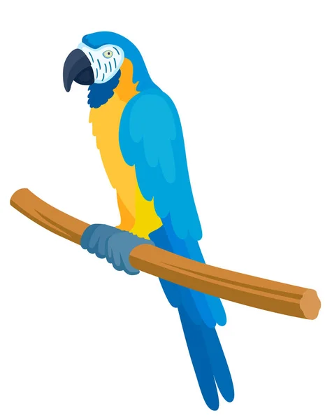 Cartoon blue parrot — Stock Vector