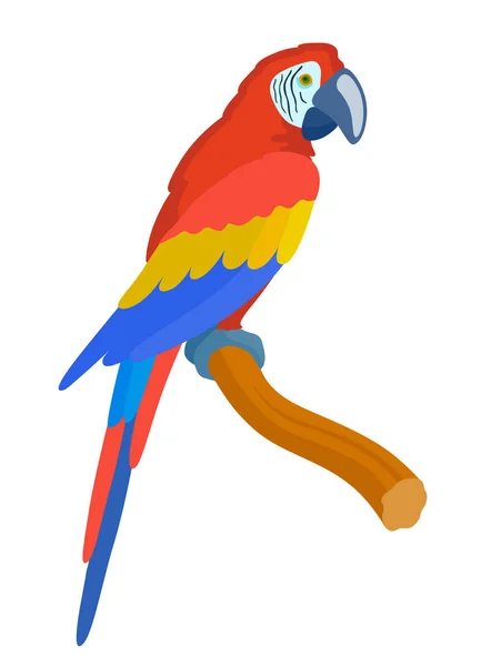 Tecknad röd papegoja — Stock vektor