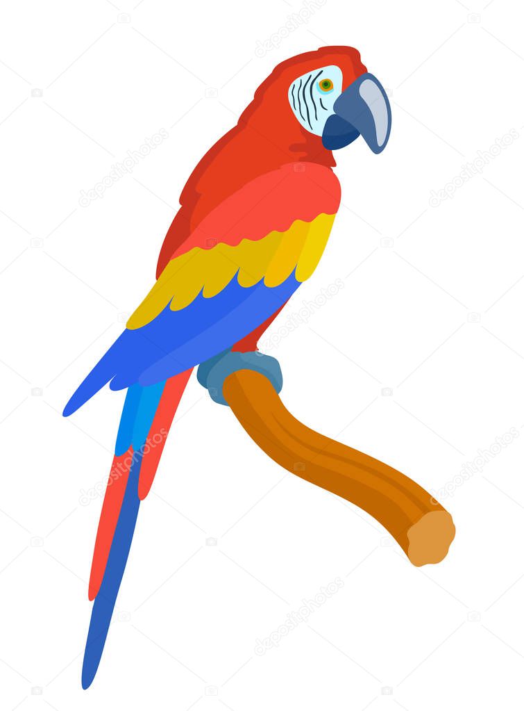cartoon Red parrot