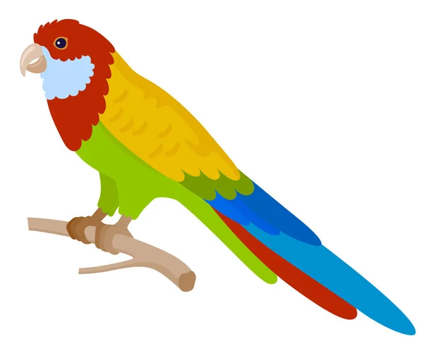 Tecknad färgstark papegoja — Stock vektor