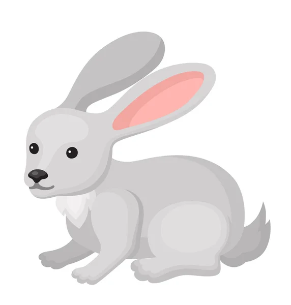 Little cartoon rabbit — Stock Vector