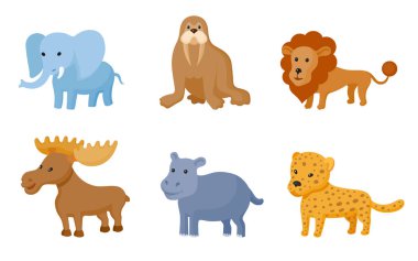 Zoo vahşi hayvanlar renkli seti 
