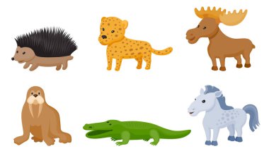 Zoo vahşi hayvanlar renkli seti 