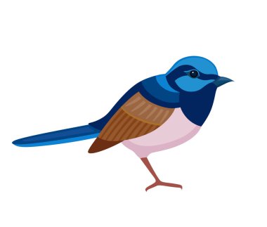 Kuş renkli tüyleri ile