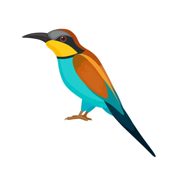 Pájaro con plumas de colores — Vector de stock