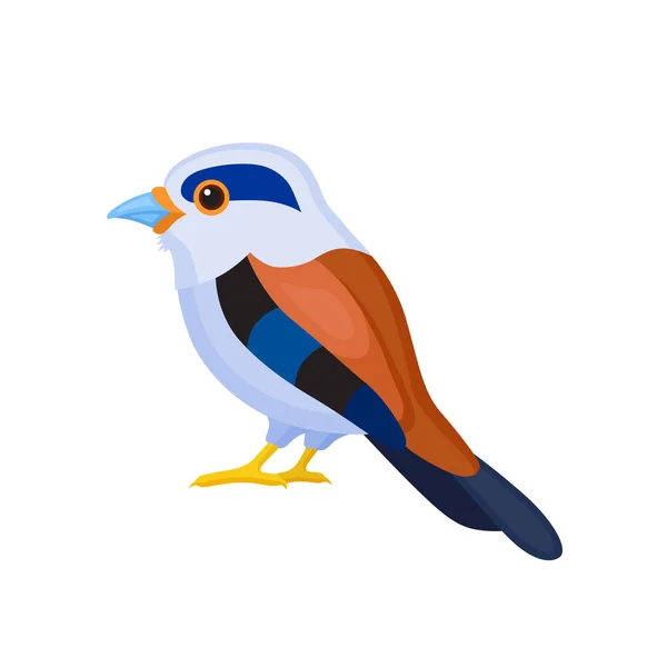 Pájaro con plumas de colores — Vector de stock