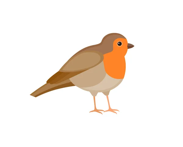 Uccello con piume colorate — Vettoriale Stock