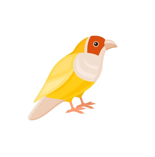 Ptak z kolorowych piór — Wektor stockowy