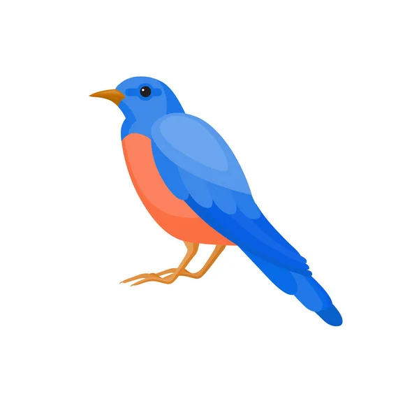 Πουλί με πολύχρωμα φτερά — Διανυσματικό Αρχείο