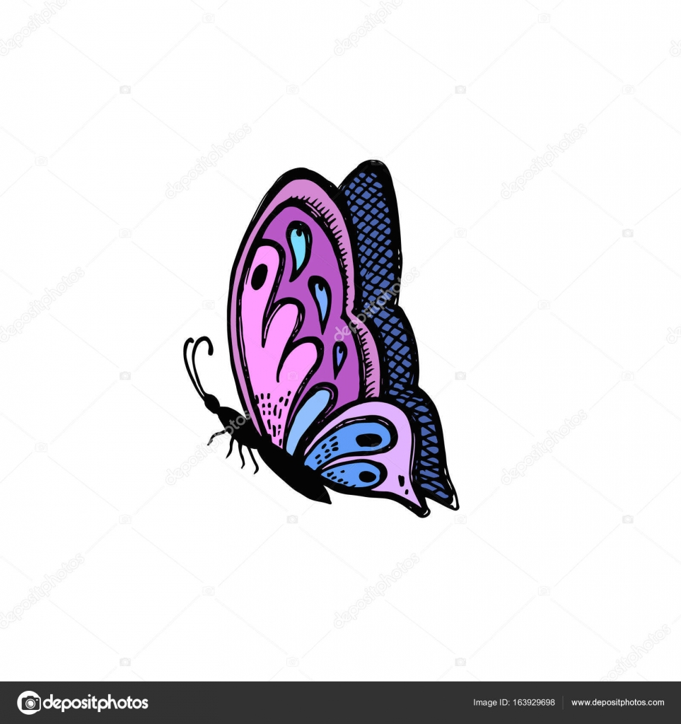 Butterfly Pop Art | engisfun.com