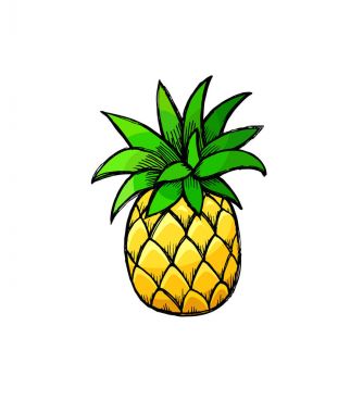 Pop art ananas rozeti