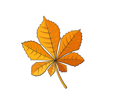 sonbahar kestane yaprağı 