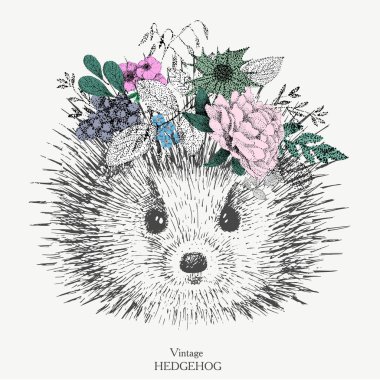 Vintage sevimli kirpi 